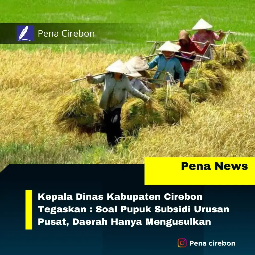 Pupuk Subsidi Pupuk Subsidi